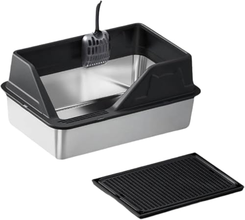 XeXJ^LgCTCYhLhUXRbvt֍SHꂵ₷lL܂/^Lėp (F)