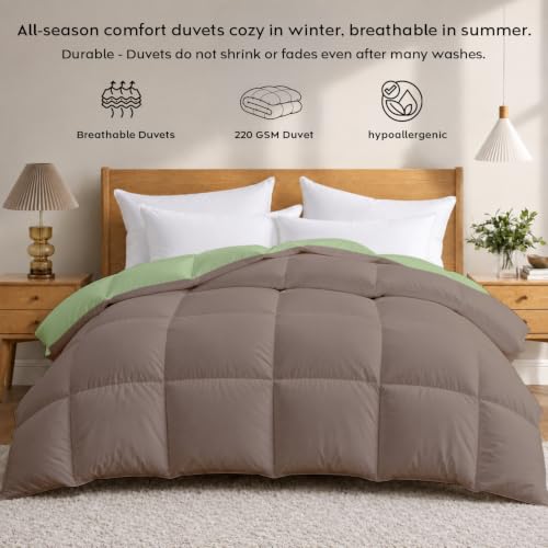 Image of AYKA Reversible Comforter 220 GSM Microfiber Reversible AC Comforter /Blanket for Winter /Quilt /Dohar /Duvets for King Size Blanket /Comforter Double Bed (Mocha & Moss, 60 * 90 inch)