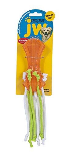 Jw Pet Squeaky Dumbell Toy #TOP1