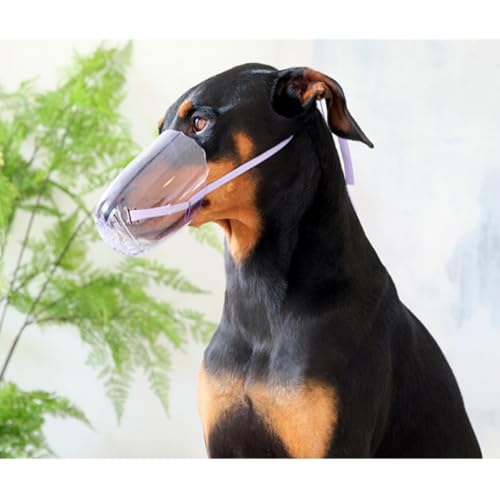 QANYEGN 3 peças de capa anti-mordida para boca de gato, focinho de gato, focinho transparente para c