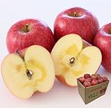 りんご 訳あり 小玉 5kg (25～30玉) 山形県産 サンふじ 家庭用 ふじ サンフジ フジ ジュース スムージー 山形産 山形 フルーツ リンゴ