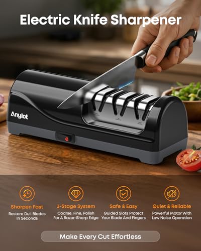 Professional Electric Knife Sharpener