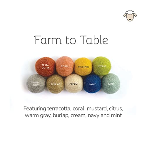 Farm To Table Adjustable Handmade Wool Felt Ball Garland By Sheep Farm Felt. Rustic Rainbow Garland #TOP7