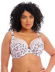 White With Leopard Print