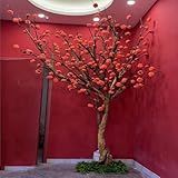 planta caqui chocolate [Materiales duraderos, adecuados para interiores y exteriores] El tronco está construido con una resistente estructura de hierro y presenta una textura exterior de corteza altamente realista, lo que garantiza estabilidad y resistencia a la deformación. Las hojas y frutos son resistentes a los rayos UV y a la decoloración