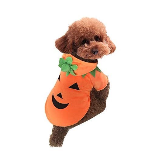 RC GearPro Navidad Halloween Diablo Calabaza Mascotas Vestir Otoño Invierno Cálido Mono Traje Ropa (XS)