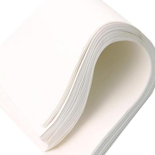 �����p�萫�h���A �萫�h���ȑ@�� 100 �����������T�C�Y�������p(10cmx10cm Fast)