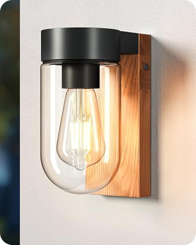 EDISHINE Wandleuchte Außen, Wandlampe mit Klarglas, rostfreiem...