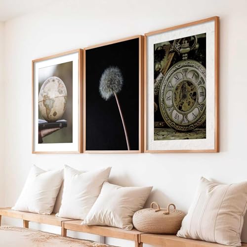 Image of HOTHOUSE Abstract Painting Home Decorative Abstract Wall Art poster With Frame For Living Room Bed Room Hotel Wall Decor Digital Reprint Set of 3 (13X17 inch)