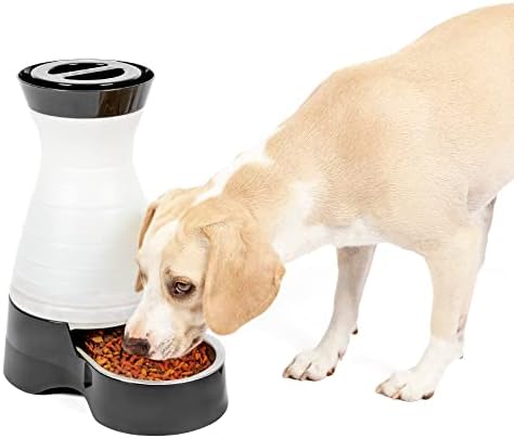 PetSafe Healthy Pet Food Station - Medium, 4 lb Kibble Capacity - Automatic Cat & Dog Feeder - Removable Stainless Steel Bowl Resists Corrosion & Stands Up to Frequent Use - Easy to Fill & Clean