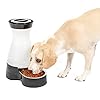 PetSafe Healthy Pet Food Station – Automatic Indoor Gravity Cat & Dog Feeder – Space-Saving Self Feeder – Easy to Clean – Medium – Up to 4 lb Kibble Capacity