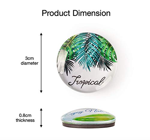 Mienno 16 Pack Greenery Refrigerator Magnets, Crystal Glass Magnets, Greenery Designs Decorative Fridge Magnets, Homewarming Gift, Home Decoration Gift With Gift Packaging Box  (Color Gift Box) #TOP1
