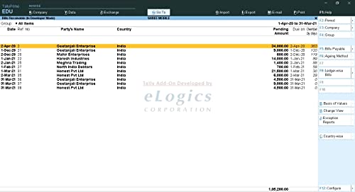 ELOGICS CORPORATION Country wise Sales & Outstanding Analysis - Tally Add-On (E-mail Delivery - No CD) - Multi User - Image 2