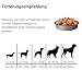 Dr. Berg pro-SCHONKOST Nassfutter für Hunde | Magen-Darm | 6 x 400 g