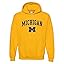Michigan Wolverines Gold