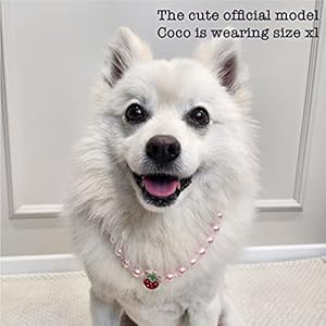 FIONA’S CLOSET Dog and Cat Clothes Light and Comfortable Necklace Strawberry Pendant Pink Pearl Beads (Pink, Medium)