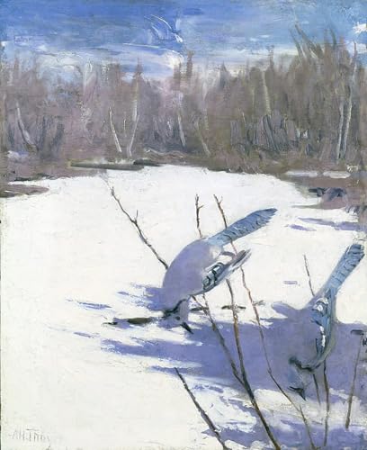 Affiche graffiti Jays en hiver par Abbott Handerson Thayer 60x90cm