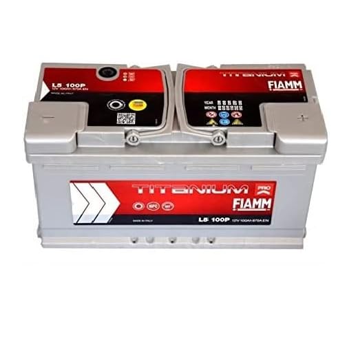 Fiamm 7905160-2 Batteria Auto Titanium Plus Potenziata, 100A, 12V