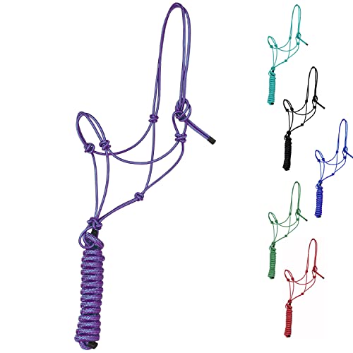 Majestic Ally 1/4 Zoll Seil 4 Knoten steif Polyester Trainingshalfter mit 3,4 m passendem Führstrick für Pferde – Voll (lila, voll)