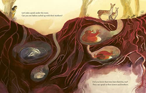 What Do You See When You Look at a Tree? - Image 2