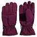 Women's Thinsulate Lined Waterproof Microfiber Winter Ski Gloves (Boysenberry, Medium)