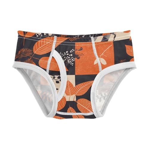 KLL Orange and Black Buffalo Check Toddler Boys' Cotton Nighttime Underwear Breathable Children Panties