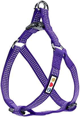 Pawtitas Pet Solid Color Step In Dog Harness or Vest Harness Dog Training Walking of your Puppy Harness Small Dog Harness Teal Dog Harness
