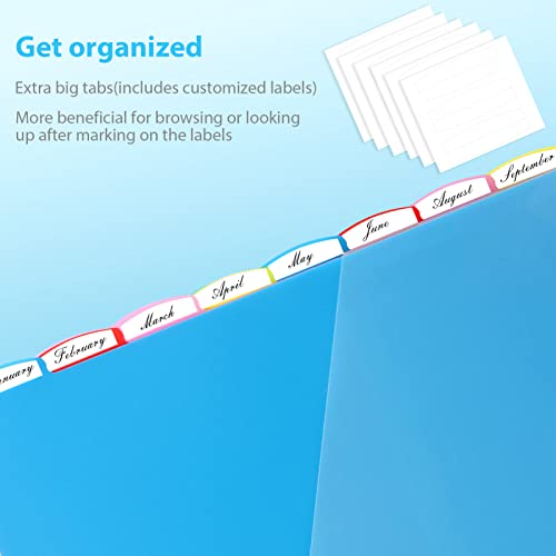 Intercalaires Plastique A4 avec Poches - Lot de 3 Sets à 5 et 8 Onglets Multicolores