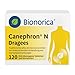 Produktbild Canephron N Dragees  4-fach stark bei leichter Blasenentzündung, zur Unterstützung der Blase, mit pflanzlichen Wirkstoffen, für Erwachsene und Jugendliche ab 12 Jahren, 120 St