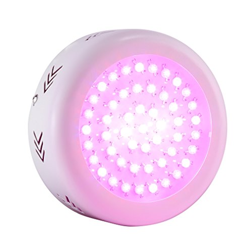 Lampe de Croissance Led Grow Light LESHP 300W Lamp Horticole IR UV Lumière pour Plantes d'Intérieur/Jardin/Serre/Greenhouse/Glasshouse
