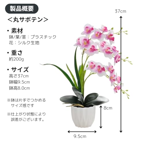 [SEVEN EBISU] 胡蝶蘭 造花 ミニサイズ 卓上 インテリア フェイクグリーン 枯れない花 観葉植物 飾り 置物 お祝い コンパクト プレゼント (紫) [5]