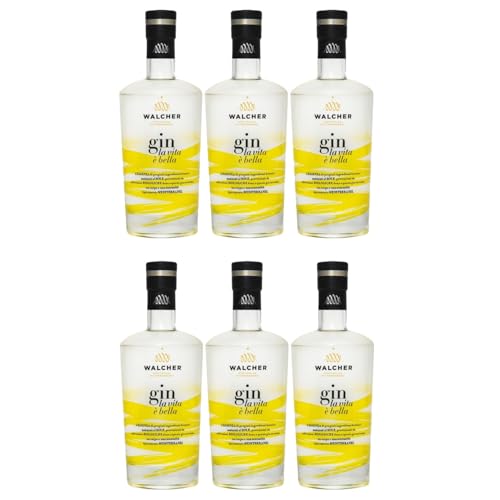 Walcher Gin La Vita E'Bella fruchtig Südtirol Italien inkl. FeinWert E-Book (6 x 0,7l)