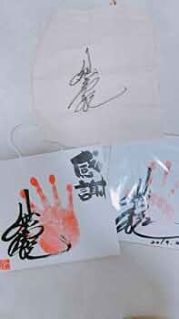 サイン色紙 Amazon.co.jp: 読売ジャイアンツ 萩尾匡也 直筆サイン色紙 Z