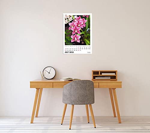 Image of Tallenge - Floral - 2023 Wall Calendar - 12 x 17 Inches for Home & Office (Paper, Wall Calendar)