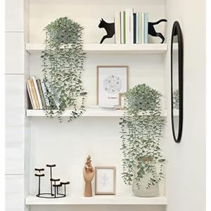 Mkono 2 Packs Fake Hanging Plants in Farmhouse Galvanized Pots Rustic Faux Potted Eucalyptus Greenery Indoor Artificial Plants for Book Shelf Mantel Living Room Bathroom Bedroom Home Office Decor Mkono 2 Packs Fake Hanging Plants in Farmhouse Galvanized Pots Rustic Faux Potted Eucalyptus Greenery Indoor Artificial Plants for Book Shelf Mantel Living Room Bathroom Bedroom Home Office Decor