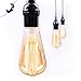 6-Pack Edison Light Bulb 40W Dimmable Vintage Antique Style Light Bulbs-Incandescent Clear Teardrop Squirrel Cage Design E26 E27 Medium Base Lamp for Chandeliers Wall Sconces Pendant Lighting