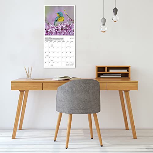 Songbirds Of North America 2023 Wall Calendar, 16-Month Nature Calendar, 12" X 12" #TOP5