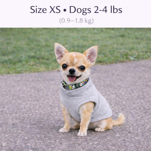 Image of JACKO & CO - Fleece Vest Dog Sweater with Leash Ring - Soft, Warm & Lightweight Pullover Coat for Small & Medium Dogs, Puppies & Cats - Cozy Fall /Winter /Spring Pet Jacket (Grey, X-Small 2-4lbs)
