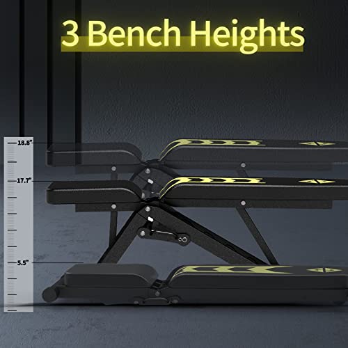Z Zhichi Adjustable Weight Bench, Strength Training Benches For Full Body Workout, 880 Pounds Capacity Foldable Incline Bench Set For Home Gym #TOP7