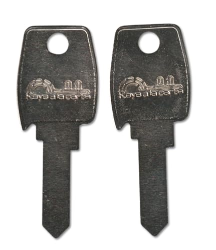 6999 Pair (2) Replacement Keys – Cut to Code on LF7 Blank for Lock Focus/Lowe & Fletcher Cabinets, Drawers & Storage Locks | KEYSALACARTE