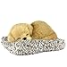 Perfect Petzzz Mini Baby Golden Retriever Puppy Dog