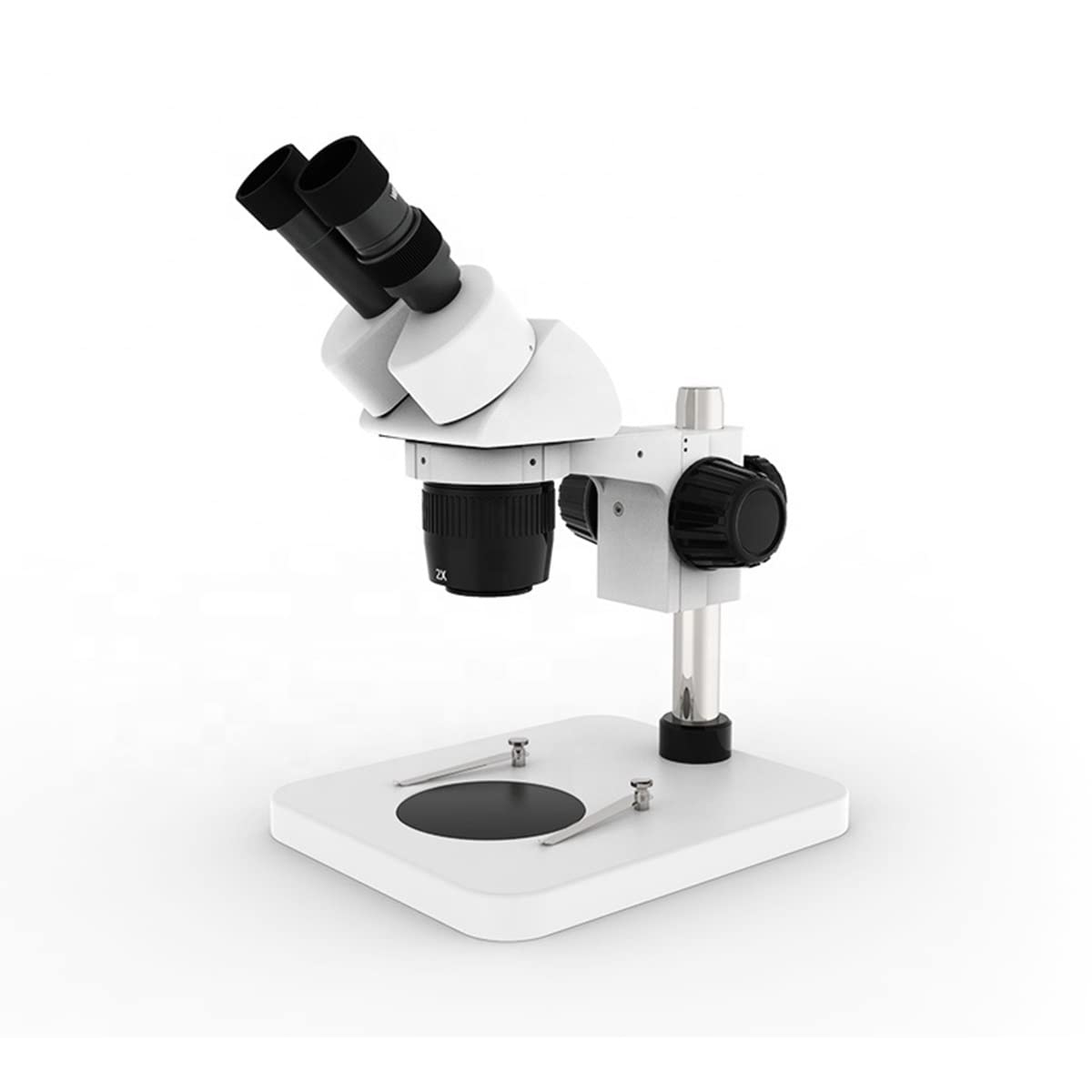 Kit di accessori per microscopio 2 0x 40x Zoom microscopio binoculare elettronico stereo, con fluorescente Vetrini per microscopio