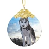 malamute husky dogs 101 Clip de metal fiable incluido: incluye un cierre de metal seguro diseñado para agarrar las ramas del árbol firmemente sin dañarlas, mientras que el cordón elástico ofrece flexibilidad para colgar en el árbol de Navidad
