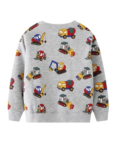 Boys Sweatshirts Casual Sweatshirts Cotton Sweatshirts Long Sleeve T-shirts Crew Neck Cartoon Tops for Boys-6592