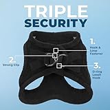 Voyager Step-In Plüsch-Hundegeschirr by Best Pet Supplies - Step-In-Westengeschirr für kleine und mittelgroße Hunde, Weicher Plüsch, Schwarzer Plüsch, size S - Brust 37-40 cm
