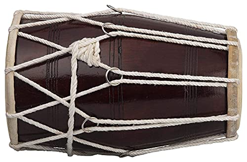 Instrument de musique folklorique indien en bois avec corde et housse marron