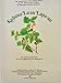 Kahuna La'au Lapa'au: The Practice of Hawaiian Herbal Medicine (Hawaiian Bicentennial Library)