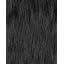 1B-Off Black