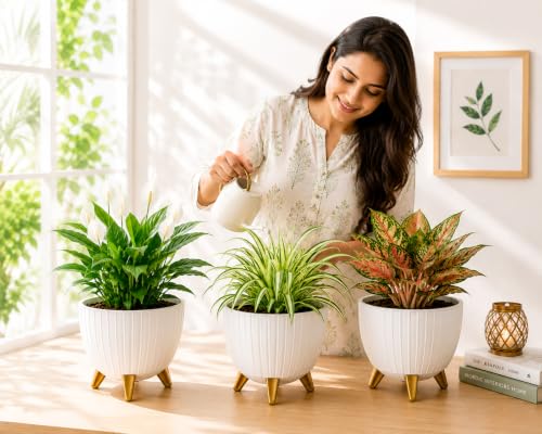 Image of (7 Inch) Plastic Flower Pot for Indoor Outdoor Plants with Stand, Decorative Ribbed Planter Pot with Legs, Round Gamala for Living Room, Pot for Office Table & Home (White,1)