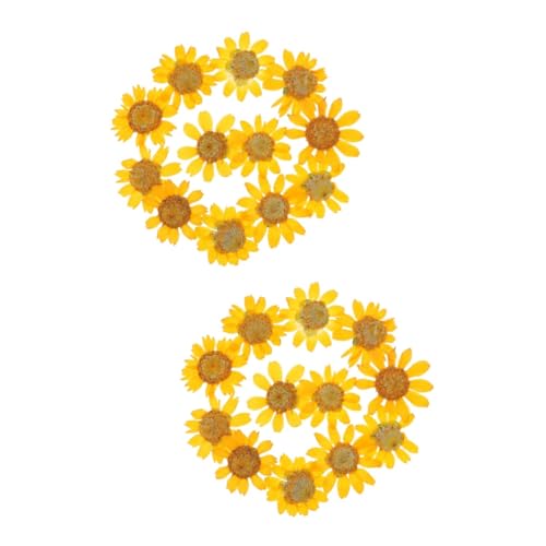 48 flores secas prensadas para manualidades miniatura 1